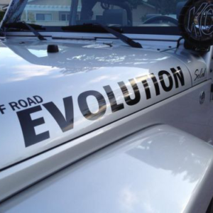 bwdecal